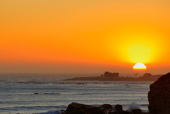Año Nuevo Island Sunset
