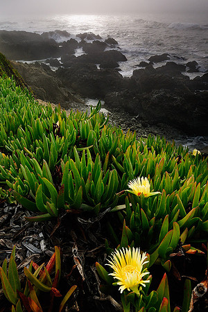 Point Montara