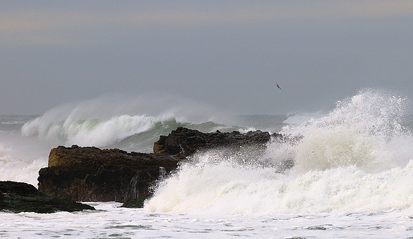 Pescadero State Beach Surf