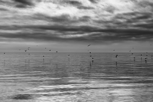 Puget Sound, Washington
