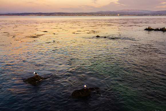 Monterey Bay