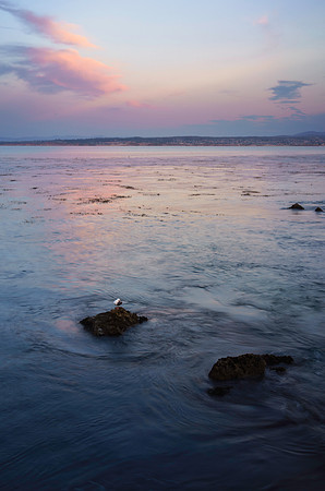 Monterey Bay