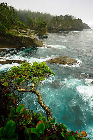 Cape Flattery, Washington
