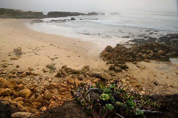 Pescadero State Beach