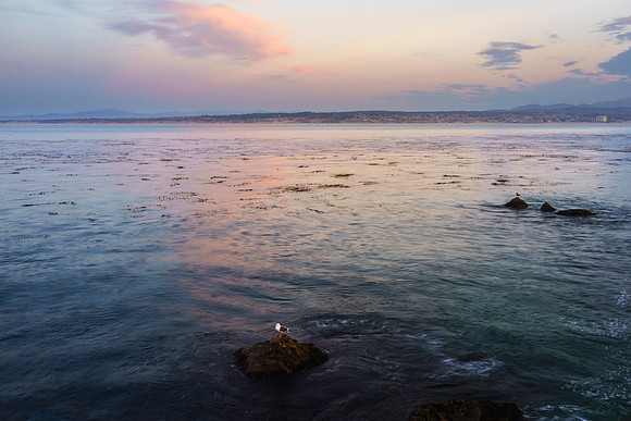 Monterey Bay