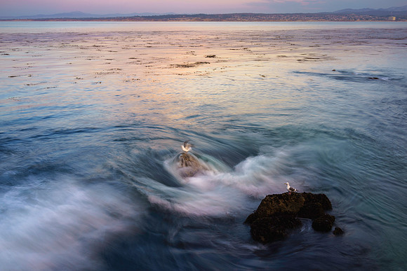 Monterey Bay