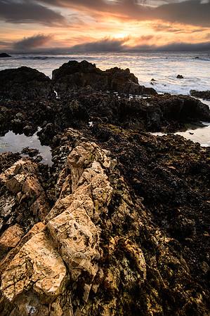 Pescadero State Beach