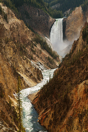 Lower Falls of the Yellowstone River in the Afternoon