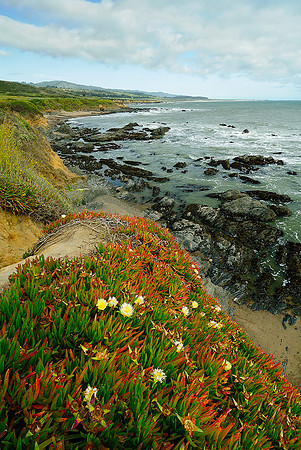 California Coast, Pigeon Point