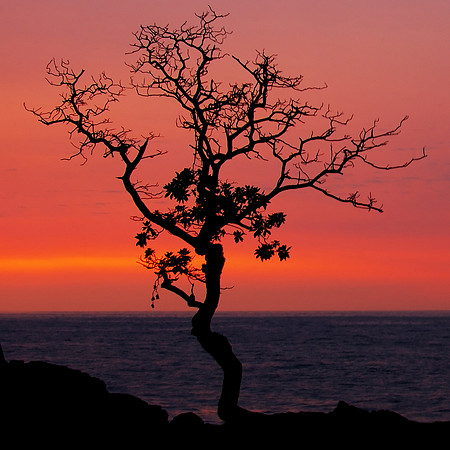 Hawai'i