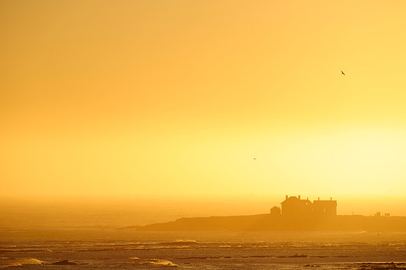 Año Nuevo Island and Abandoned Lighthouse