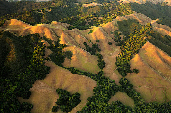 Hills