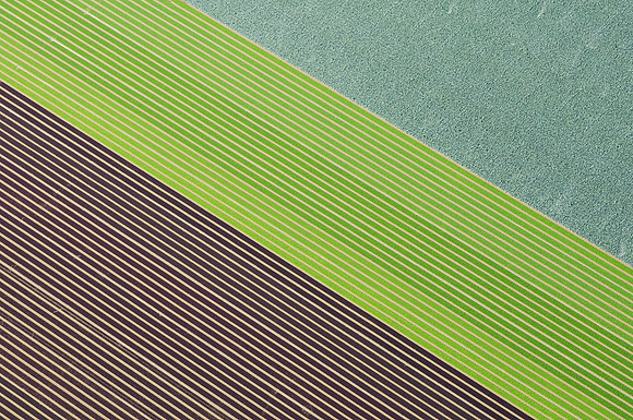 Mesclun