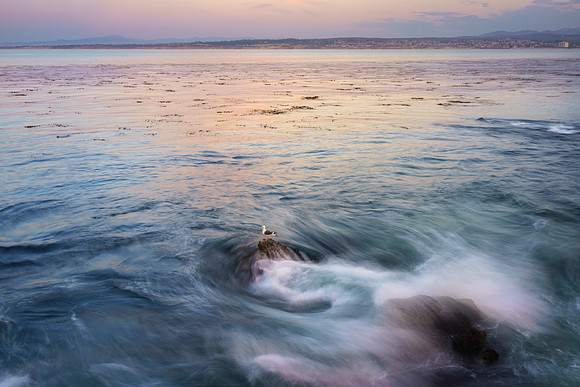 Monterey Bay